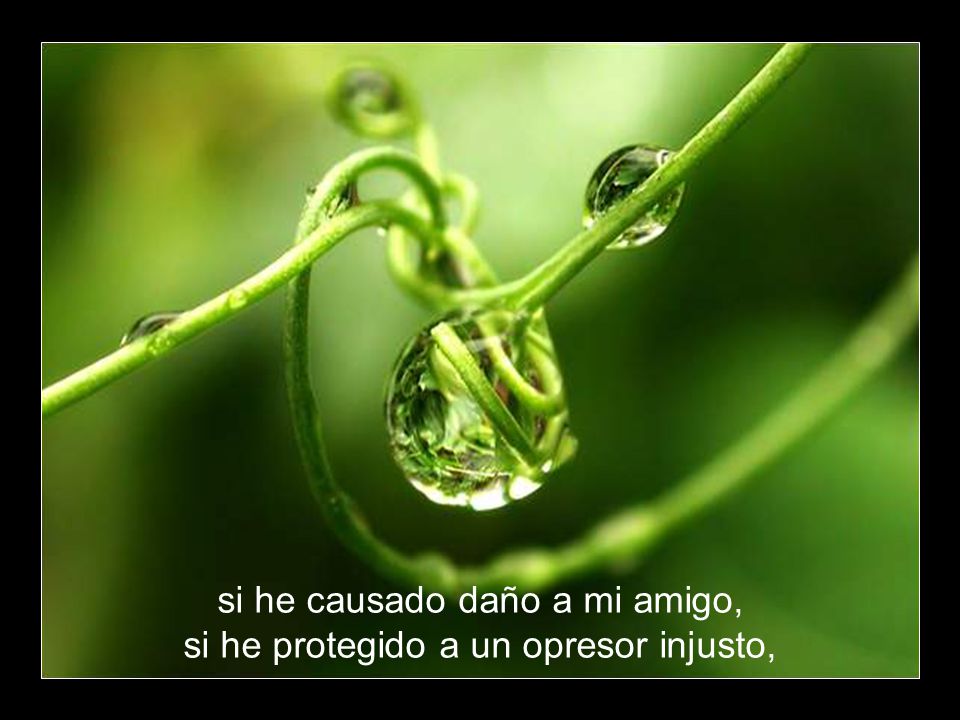 si he causado daño a mi amigo, si he protegido a un opresor injusto,