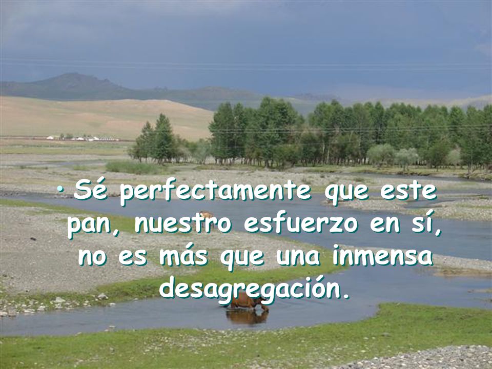 Sé perfectamente que este pan, nuestro esfuerzo en sí, no es más que una inmensa desagregación.