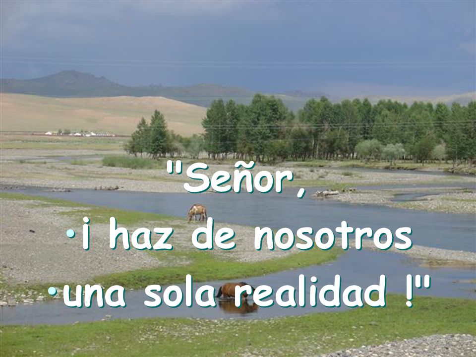Señor, ¡ haz de nosotros una sola realidad !