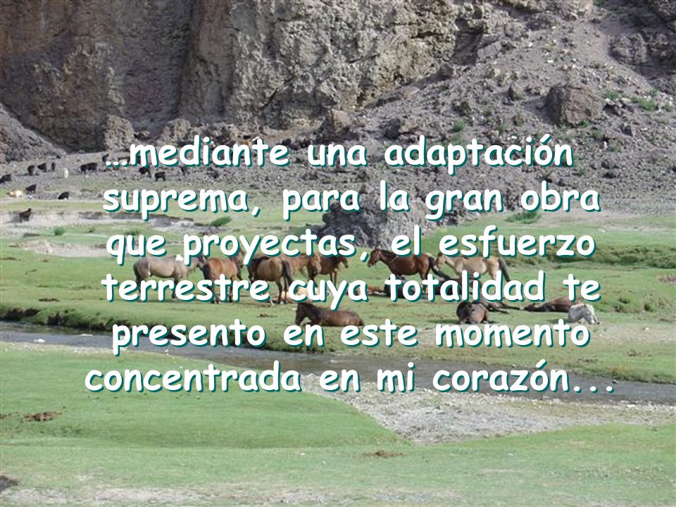 …mediante una adaptación suprema, para la gran obra que proyectas, el esfuerzo terrestre cuya totalidad te presento en este momento concentrada en mi corazón...