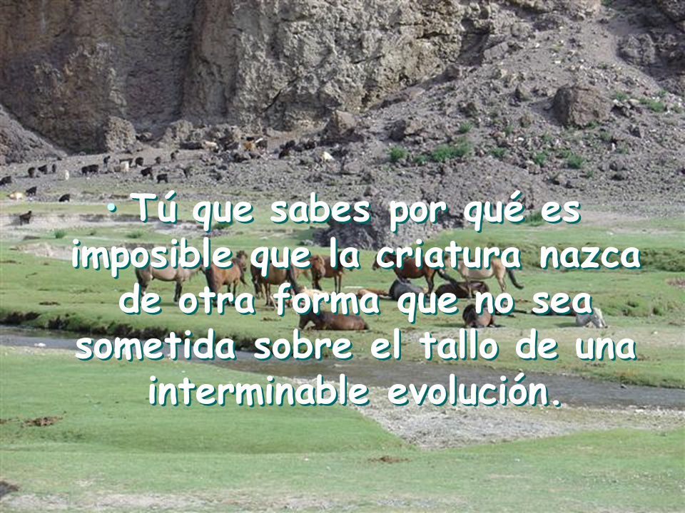 Tú que sabes por qué es imposible que la criatura nazca de otra forma que no sea sometida sobre el tallo de una interminable evolución.