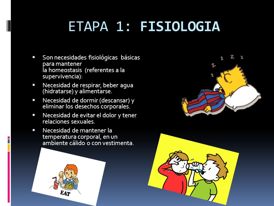 ETAPA 1: FISIOLOGIA Son necesidades fisiológicas básicas para mantener la homeostasis (referentes a la supervivencia):