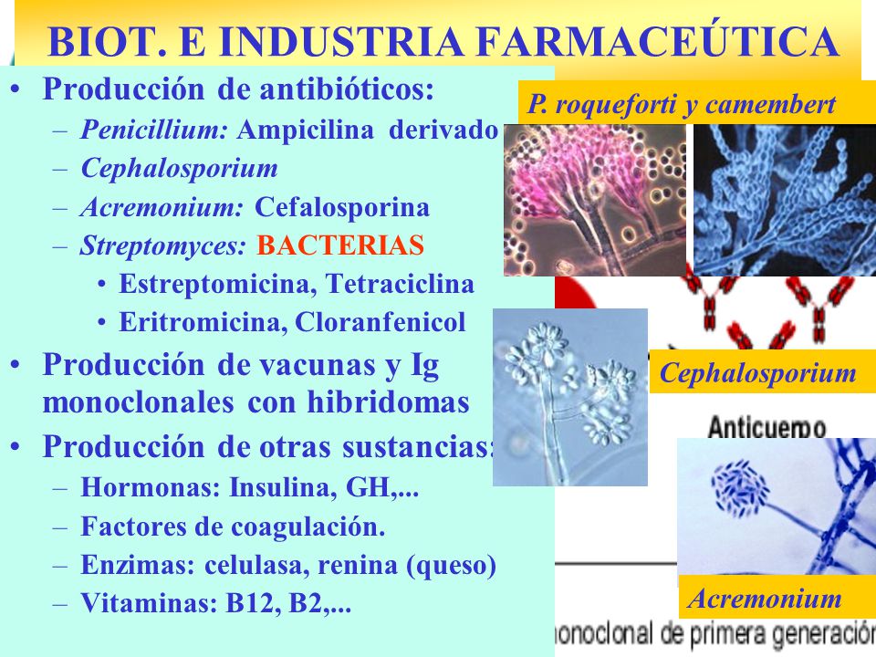 BIOT. E INDUSTRIA FARMACEÚTICA