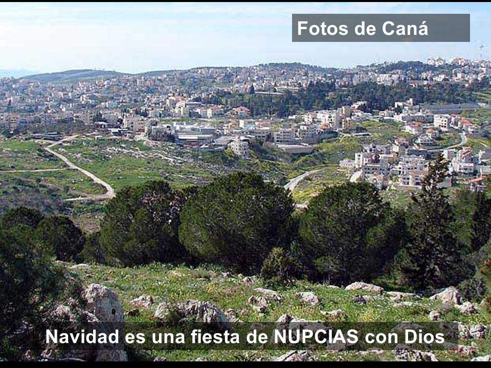 Navidad es una fiesta de NUPCIAS con Dios