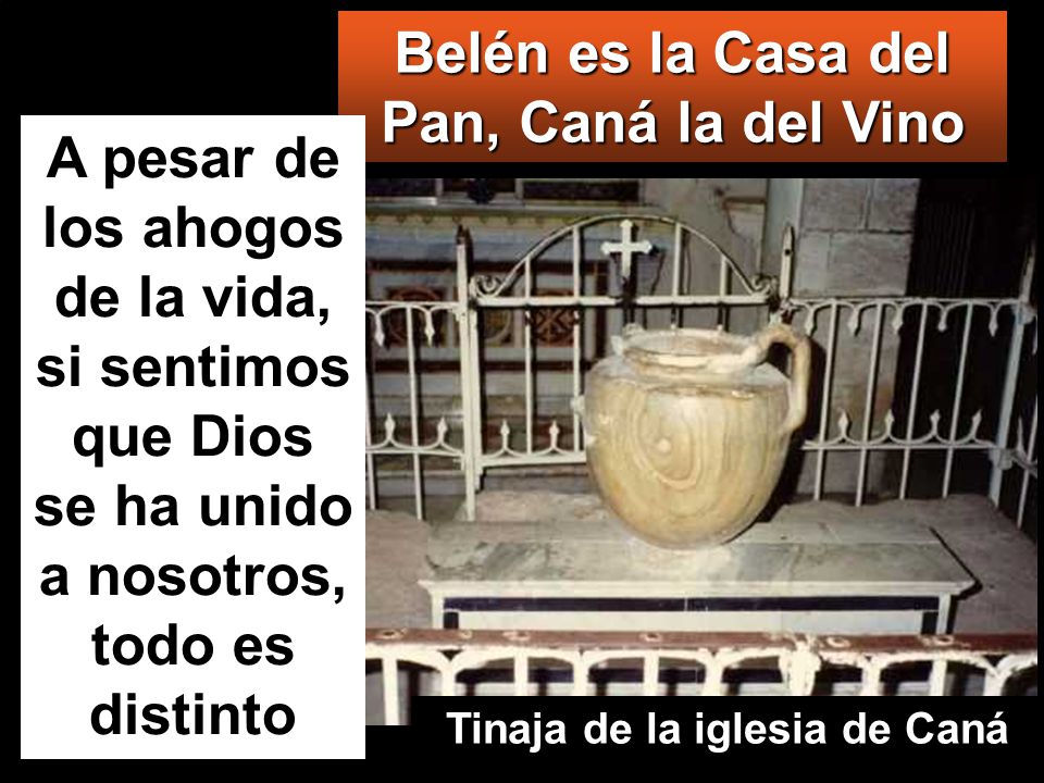 Belén es la Casa del Pan, Caná la del Vino