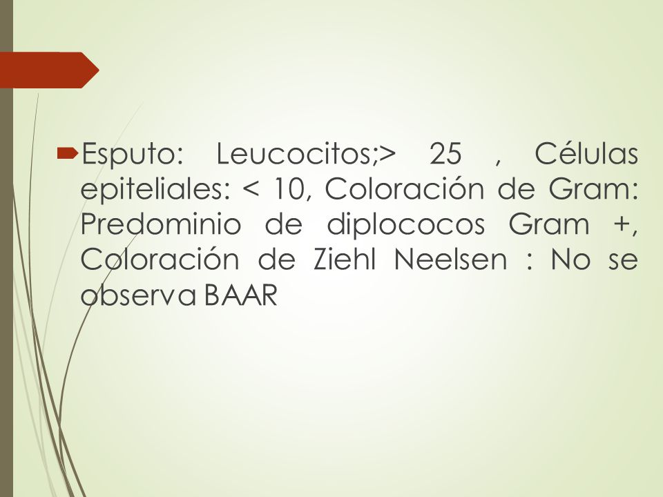 Esputo: Leucocitos;> 25 , Células epiteliales: < 10, Coloración de Gram: Predominio de diplococos Gram +, Coloración de Ziehl Neelsen : No se observa BAAR