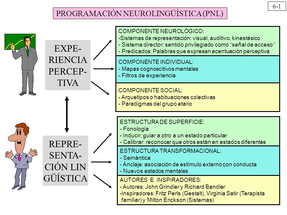 PROGRAMACIÓN NEUROLINGÜÍSTICA (PNL)