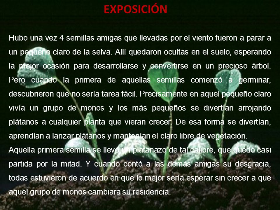 EXPOSICIÓN