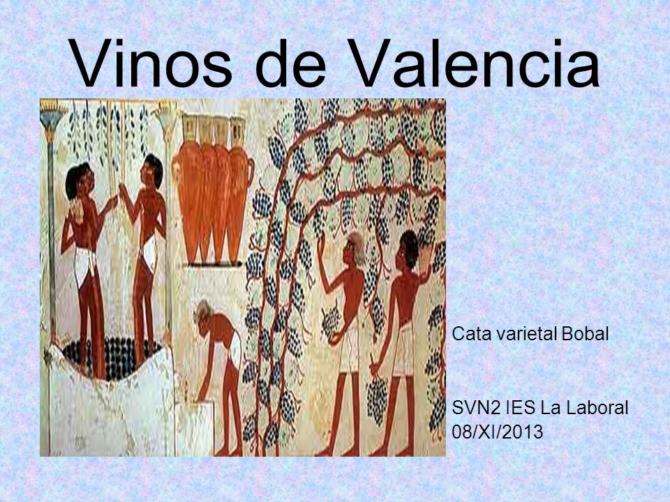Vinos de Valencia Cata varietal Bobal SVN2 IES La Laboral 08/XI/2013