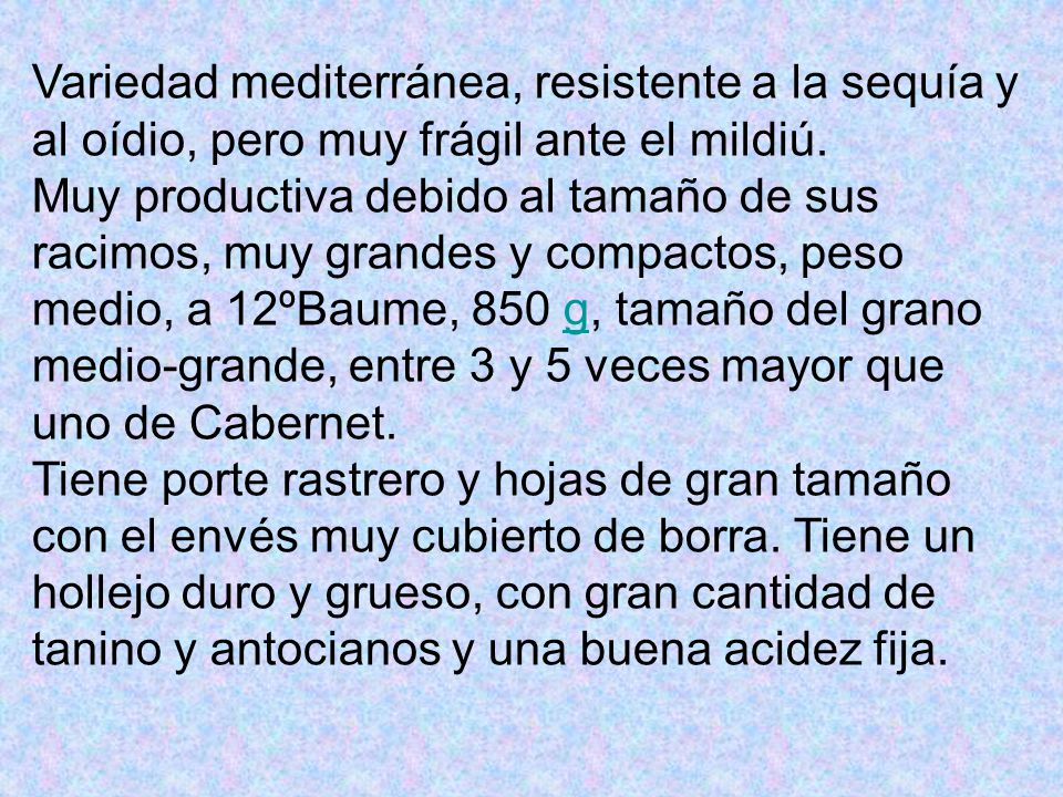 Variedad mediterránea, resistente a la sequía y al oídio, pero muy frágil ante el mildiú.