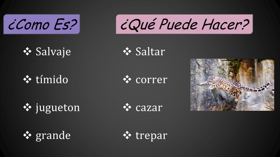 ¿Como Es ¿Qué Puede Hacer Salvaje tímido jugueton grande Saltar
