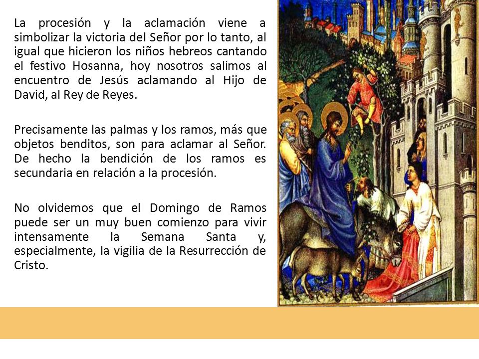 La procesión y la aclamación viene a simbolizar la victoria del Señor por lo tanto, al igual que hicieron los niños hebreos cantando el festivo Hosanna, hoy nosotros salimos al encuentro de Jesús aclamando al Hijo de David, al Rey de Reyes.
