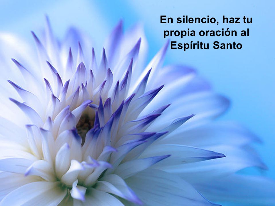 En silencio, haz tu propia oración al Espíritu Santo