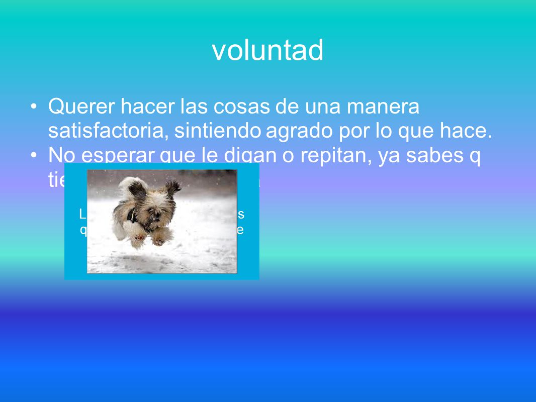 Lanzarse a las ideas y a los quehaceres sin medir limite