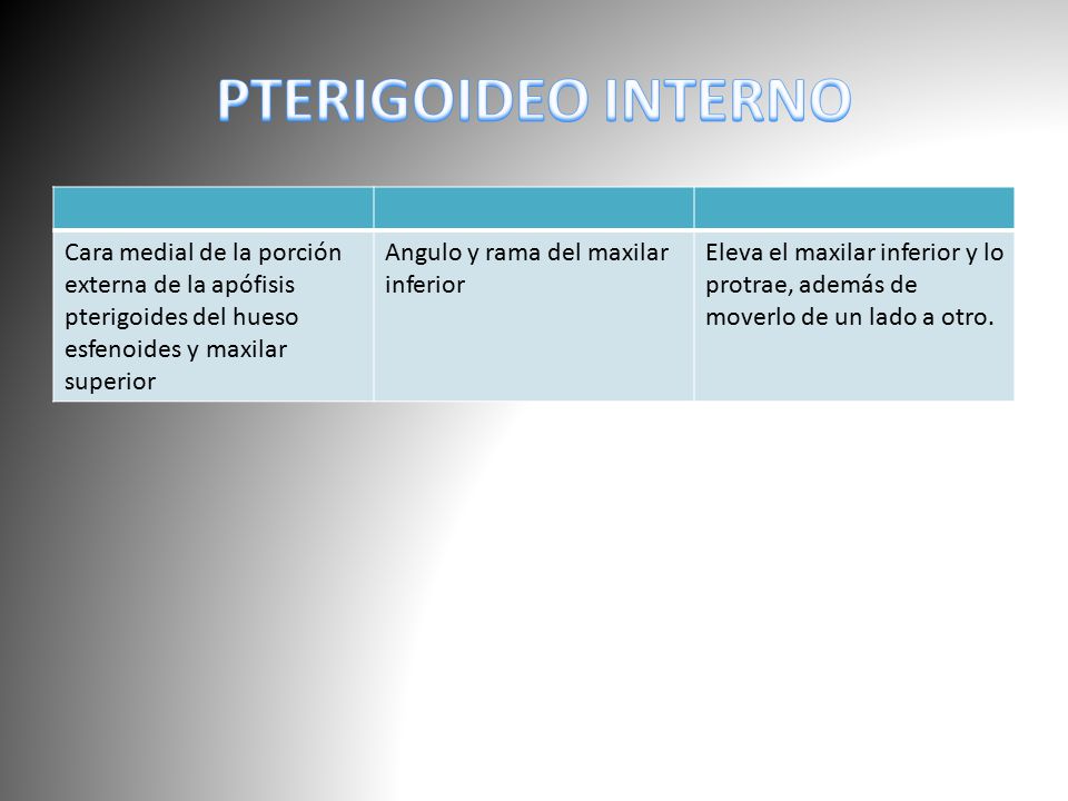 PTERIGOIDEO INTERNO Cara medial de la porción externa de la apófisis pterigoides del hueso esfenoides y maxilar superior.