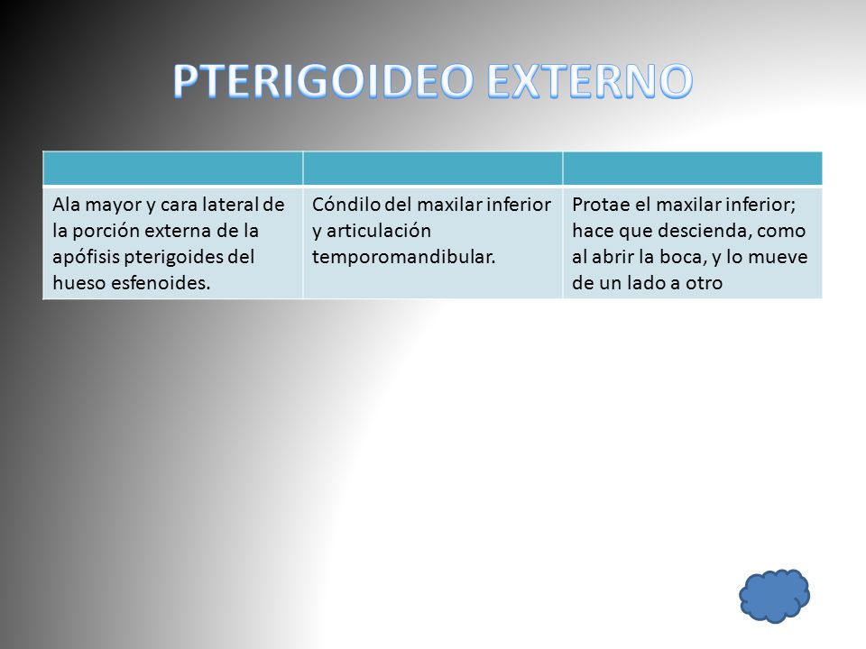PTERIGOIDEO EXTERNO Ala mayor y cara lateral de la porción externa de la apófisis pterigoides del hueso esfenoides.