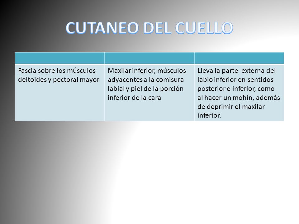 CUTANEO DEL CUELLO Fascia sobre los músculos deltoides y pectoral mayor.