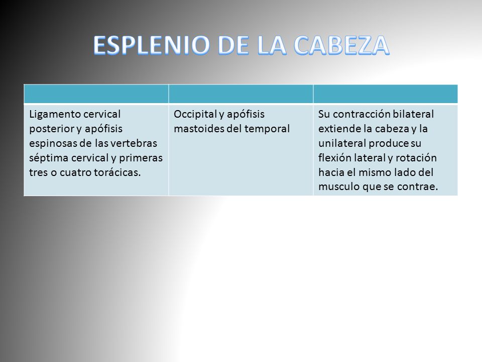 ESPLENIO DE LA CABEZA Ligamento cervical posterior y apófisis espinosas de las vertebras séptima cervical y primeras tres o cuatro torácicas.