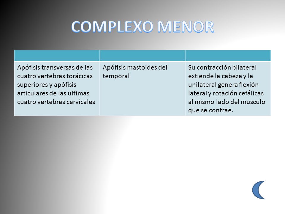 COMPLEXO MENOR Apófisis transversas de las cuatro vertebras torácicas superiores y apófisis articulares de las ultimas cuatro vertebras cervicales.