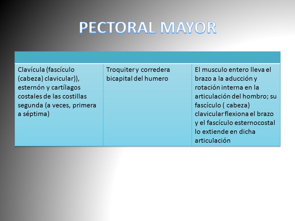 PECTORAL MAYOR Clavícula (fascículo (cabeza) clavicular)), esternón y cartílagos costales de las costillas segunda (a veces, primera a séptima)