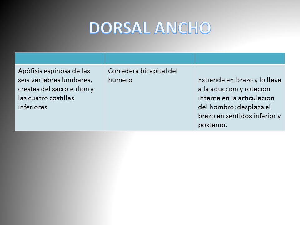 DORSAL ANCHO Apófisis espinosa de las seis vértebras lumbares, crestas del sacro e ilion y las cuatro costillas inferiores.