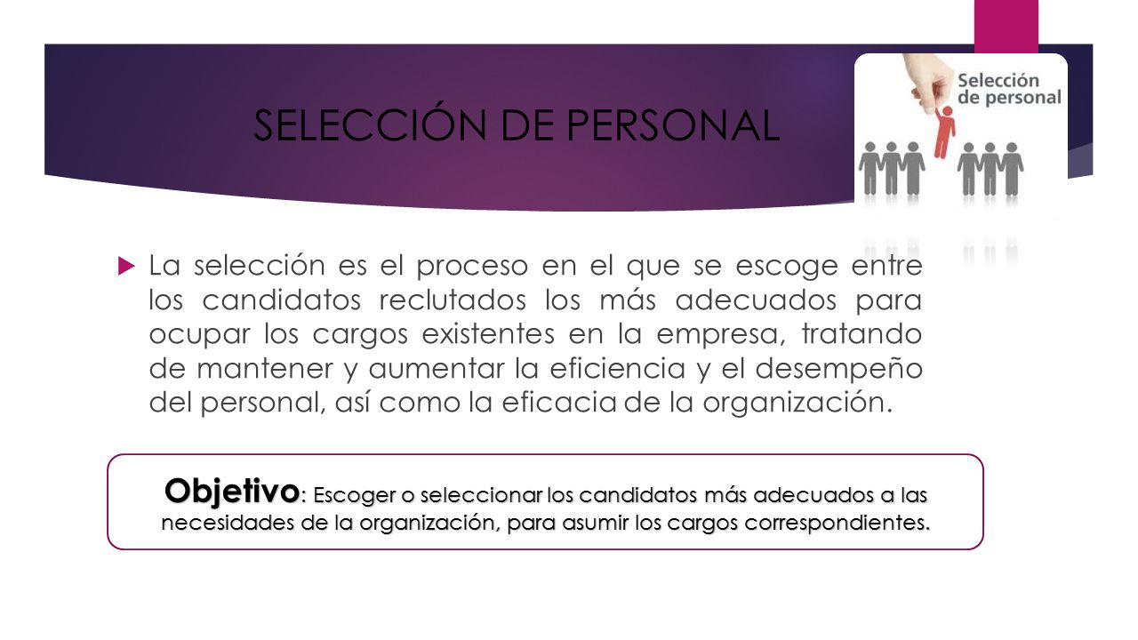 SELECCIÓN DE PERSONAL