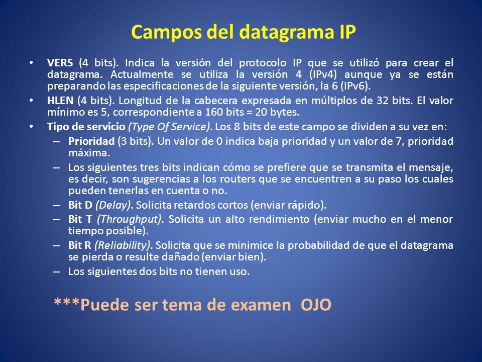 Campos del datagrama IP
