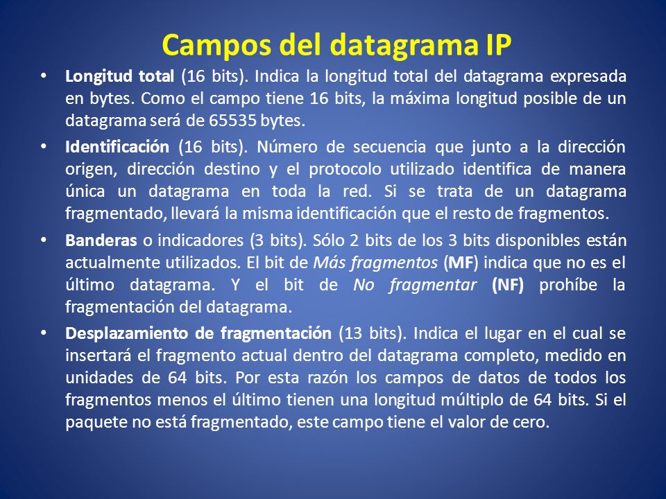Campos del datagrama IP