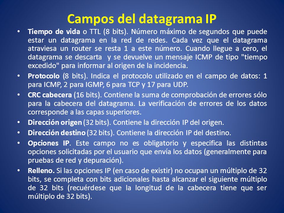 Campos del datagrama IP