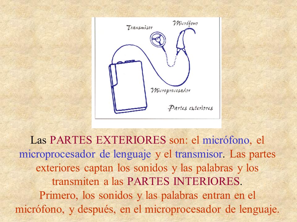Las PARTES EXTERIORES son: el micrófono, el microprocesador de lenguaje y el transmisor.