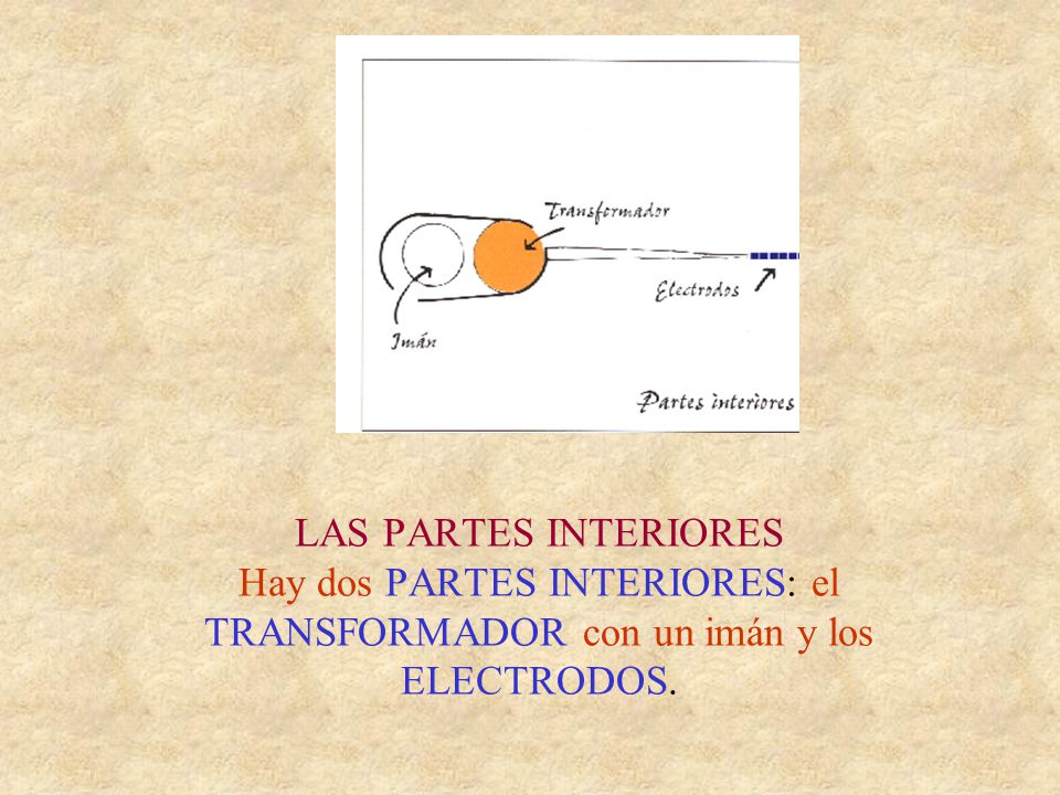 LAS PARTES INTERIORES Hay dos PARTES INTERIORES: el TRANSFORMADOR con un imán y los ELECTRODOS.