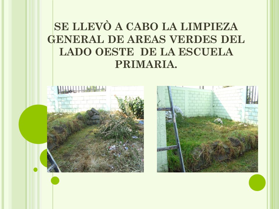 SE LLEVÒ A CABO LA LIMPIEZA GENERAL DE AREAS VERDES DEL LADO OESTE DE LA ESCUELA PRIMARIA.