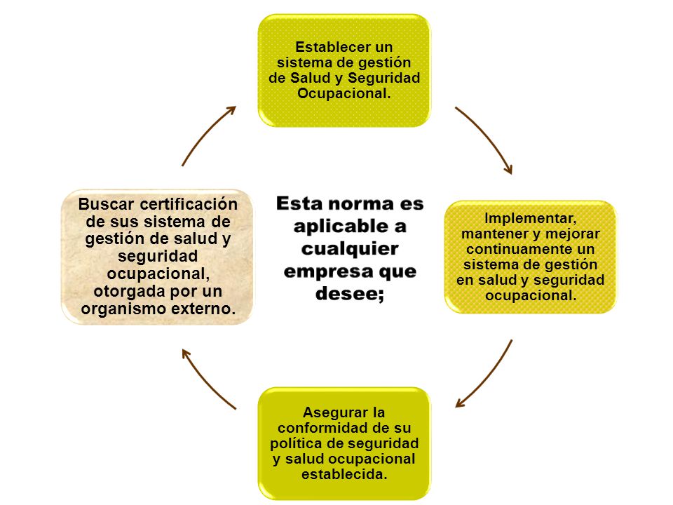 Establecer un sistema de gestión de Salud y Seguridad Ocupacional.