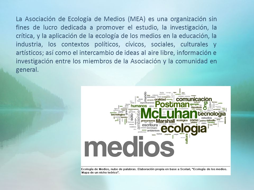 La Asociación de Ecología de Medios (MEA) es una organización sin fines de lucro dedicada a promover el estudio, la investigación, la crítica, y la aplicación de la ecología de los medios en la educación, la industria, los contextos políticos, cívicos, sociales, culturales y artísticos; así como el intercambio de ideas al aire libre, información e investigación entre los miembros de la Asociación y la comunidad en general.