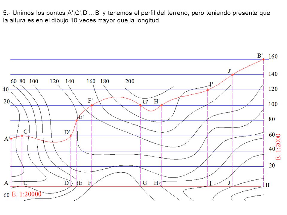 5.- Unimos los puntos A’,C’,D’…B’ y tenemos el perfil del terreno, pero teniendo presente que la altura es en el dibujo 10 veces mayor que la longitud.