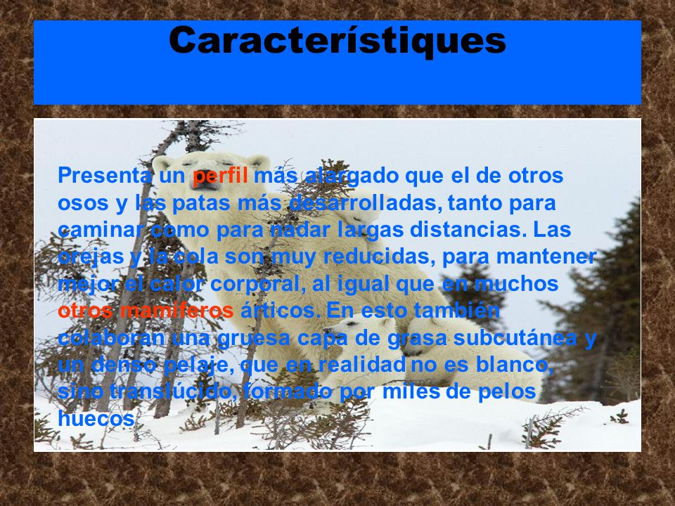 Característiques