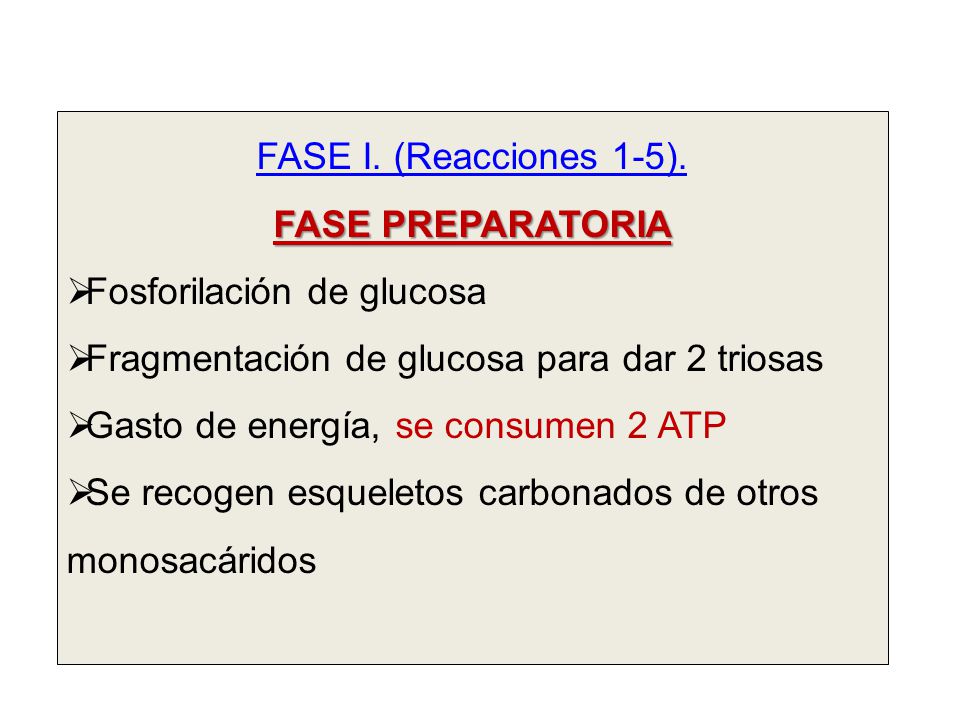 FASE I. (Reacciones 1-5). FASE PREPARATORIA. Fosforilación de glucosa. Fragmentación de glucosa para dar 2 triosas.