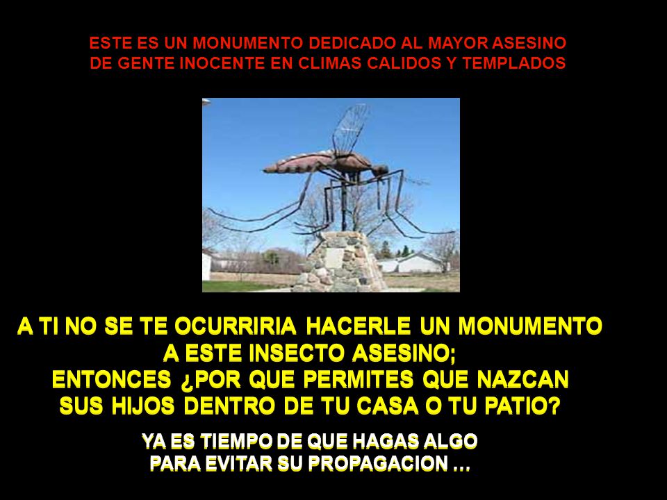 YA ES TIEMPO DE QUE HAGAS ALGO PARA EVITAR SU PROPAGACION …