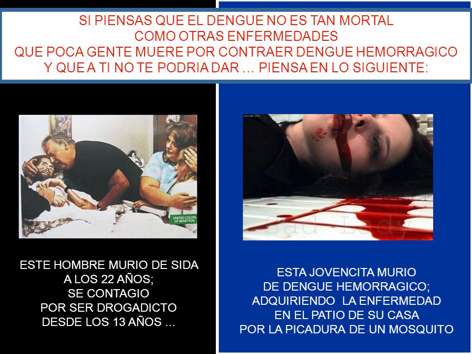 SI PIENSAS QUE EL DENGUE NO ES TAN MORTAL COMO OTRAS ENFERMEDADES QUE POCA GENTE MUERE POR CONTRAER DENGUE HEMORRAGICO Y QUE A TI NO TE PODRIA DAR … PIENSA EN LO SIGUIENTE: