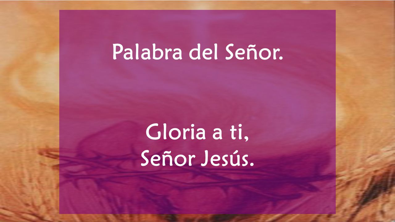 Palabra del Señor. Gloria a ti, Señor Jesús.