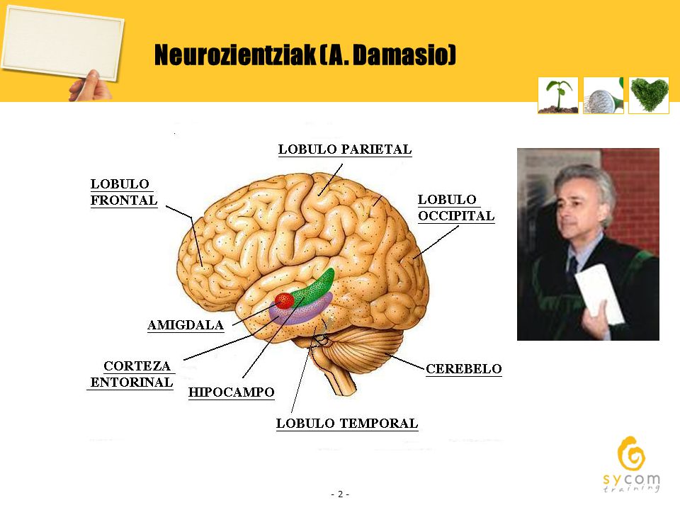 Neurozientziak (A. Damasio)