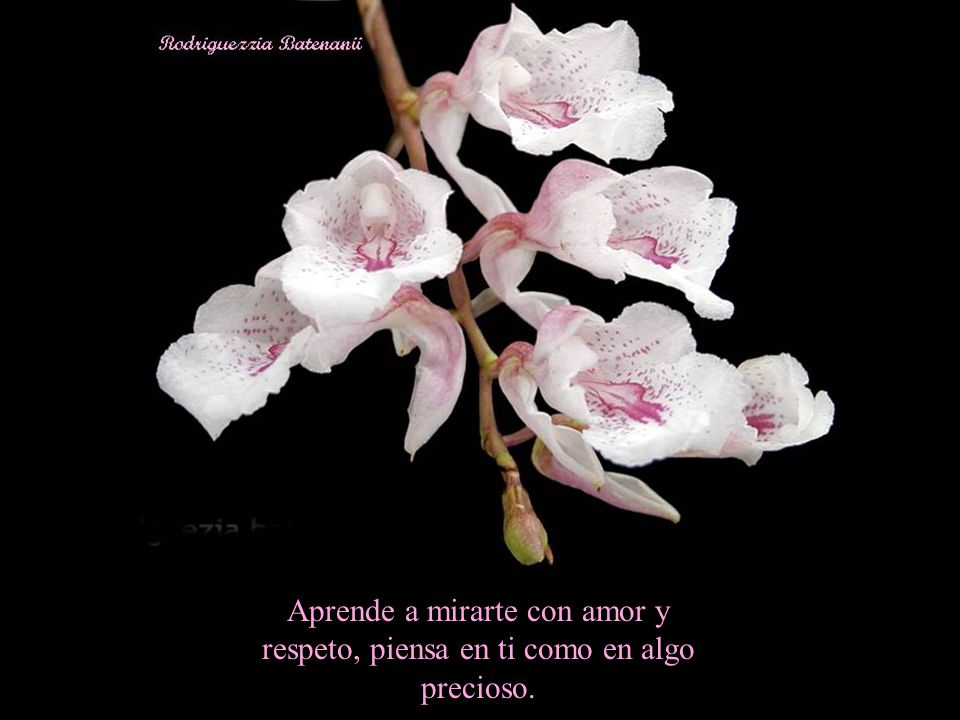 Aprende a mirarte con amor y respeto, piensa en ti como en algo precioso.