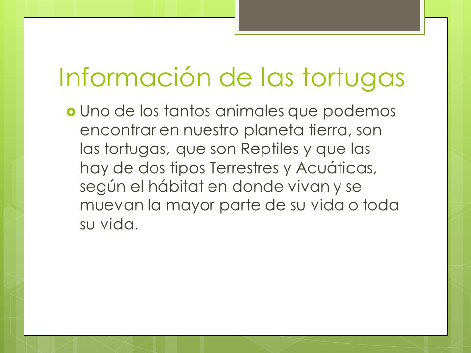 Información de las tortugas