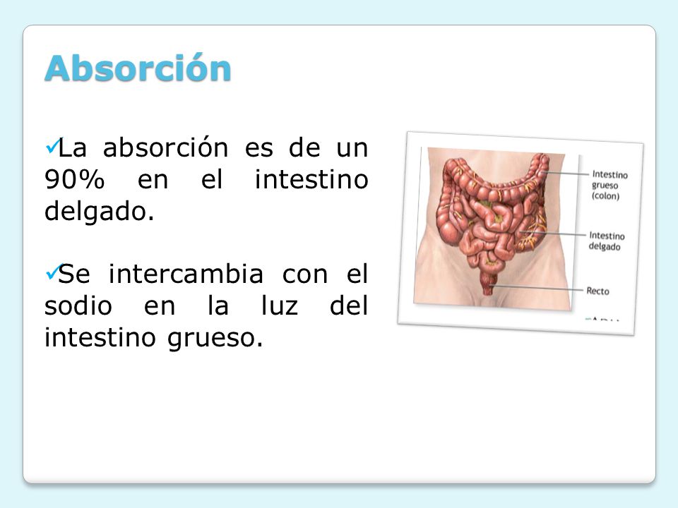 Absorción La absorción es de un 90% en el intestino delgado.