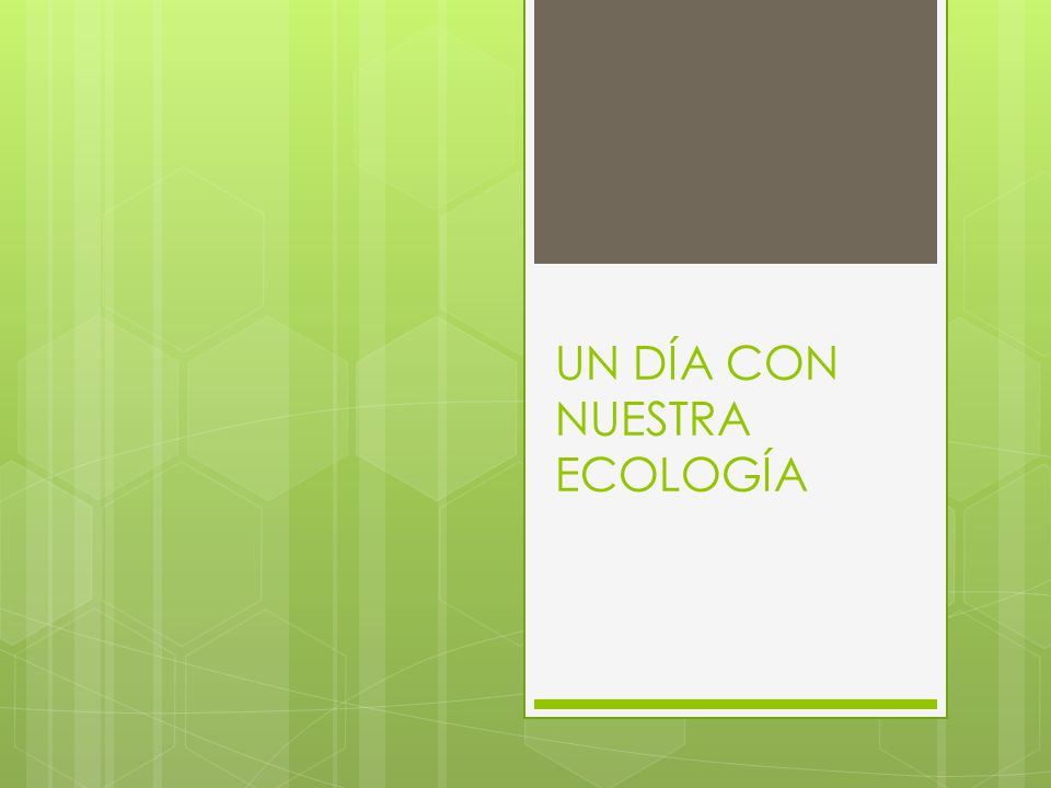 UN DÍA CON NUESTRA ECOLOGÍA