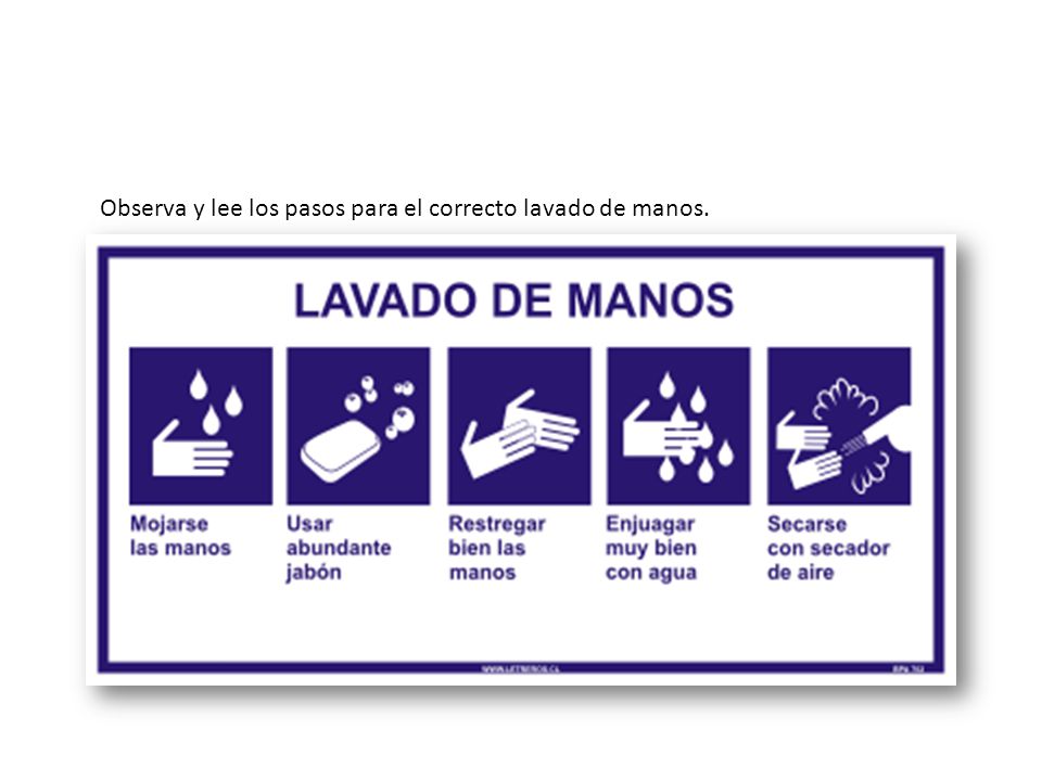 Observa y lee los pasos para el correcto lavado de manos.