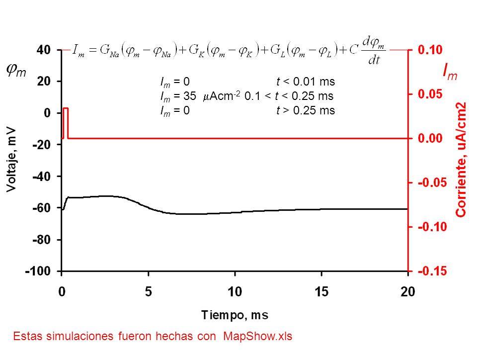 m Im. Im = 0 t < 0.01 ms Im = 35 Acm < t < 0.25 ms Im = 0 t > 0.25 ms.