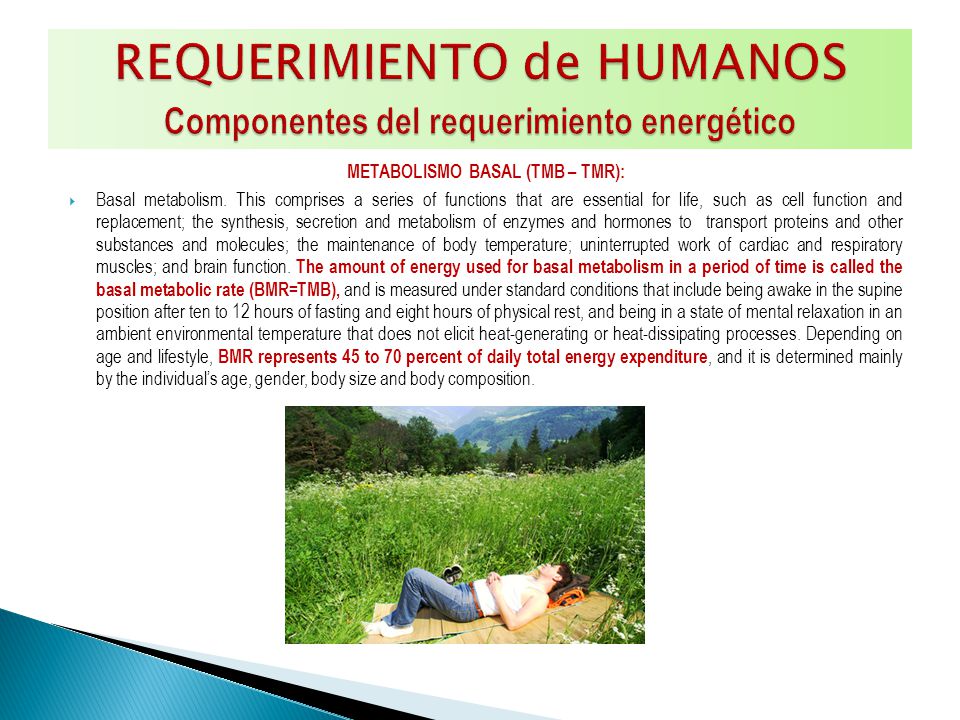 REQUERIMIENTO de HUMANOS Componentes del requerimiento energético