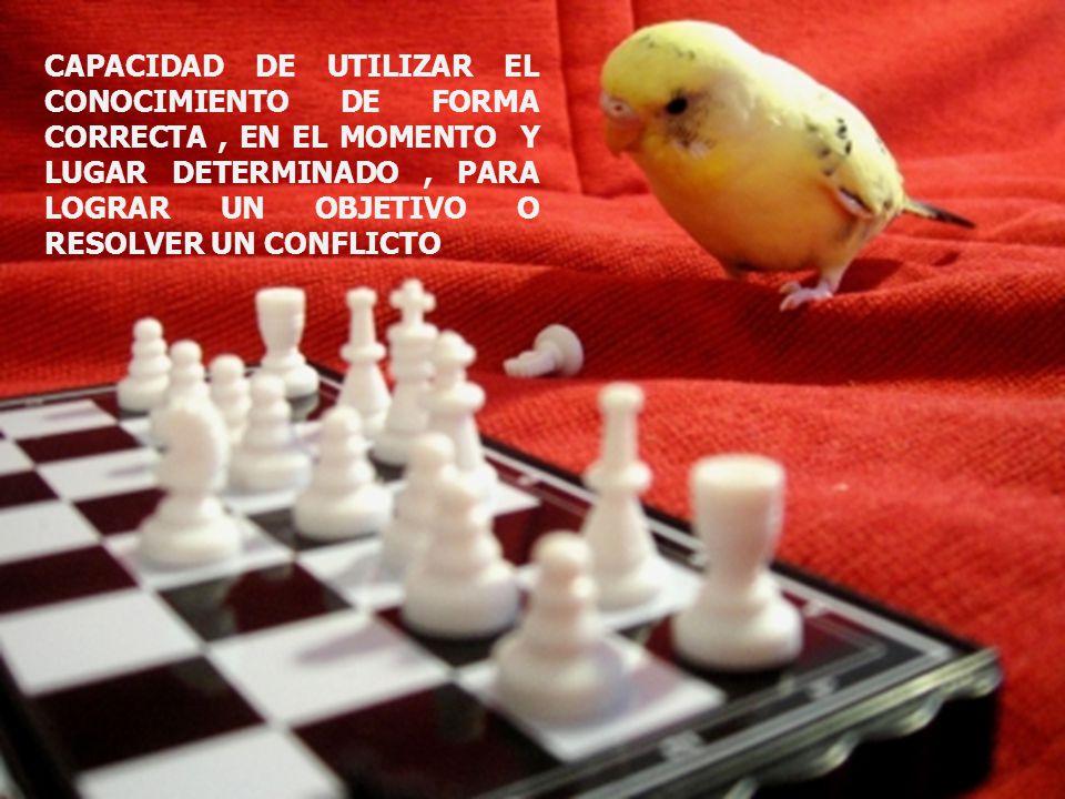CAPACIDAD DE UTILIZAR EL CONOCIMIENTO DE FORMA CORRECTA , EN EL MOMENTO Y LUGAR DETERMINADO , PARA LOGRAR UN OBJETIVO O RESOLVER UN CONFLICTO