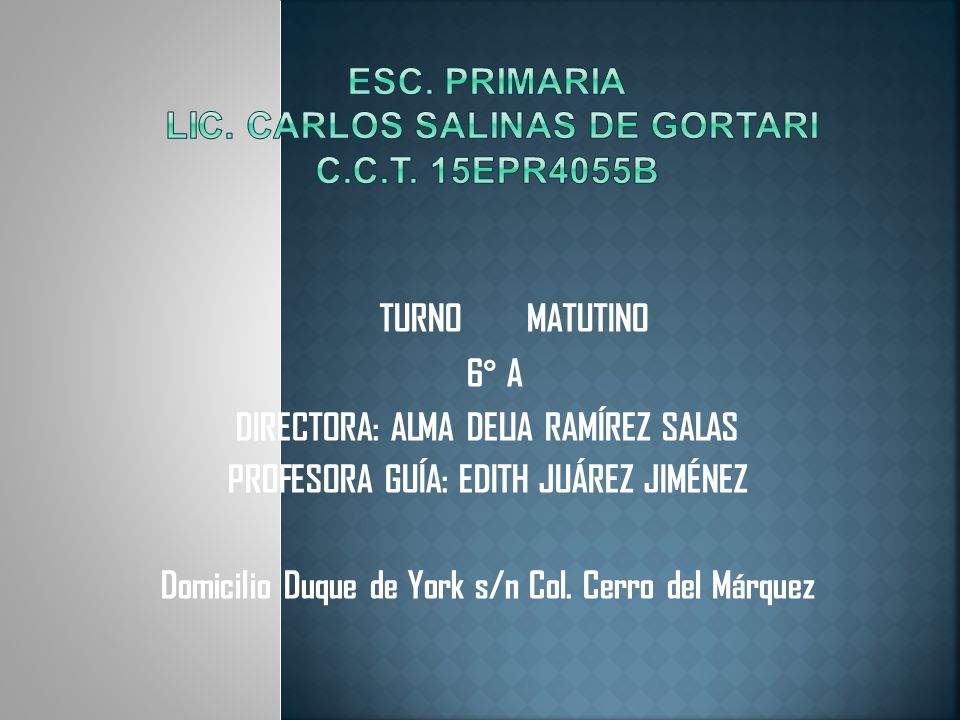 ESC. PRIMARIA LIC. CARLOS SALINAS DE GORTARI C.C.T. 15EPR4055B